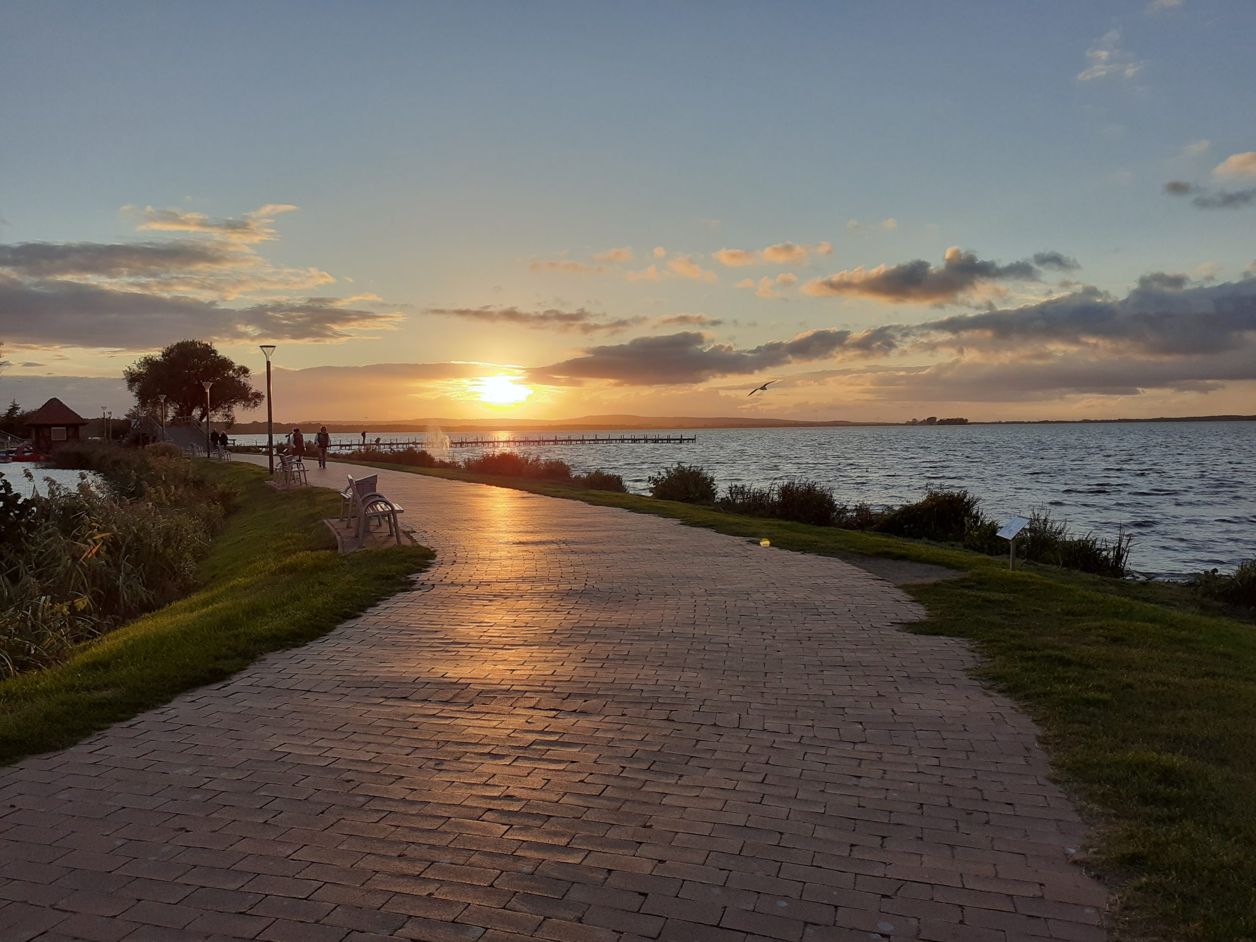 Herbst genießen in den Ferienwohnungen Dornbusch in Steinhude